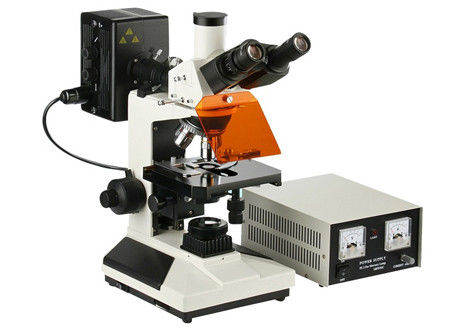 Epi-Floresan Bilim Laboratuvar Mikroskobu 4X 100X Işık Mikroskobu Biyoloji