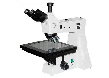 DIC 20x 10x İletim Optik Mikroskop Polarize WF10X/22mm Trinoküler