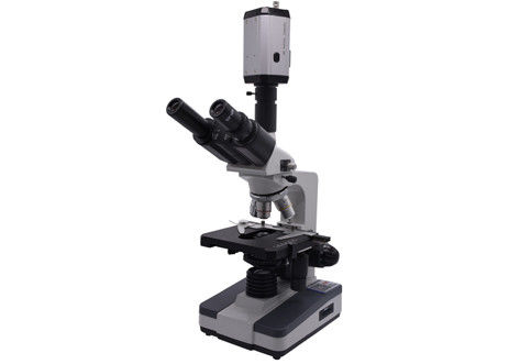 WF10X CCD 40X 0.65 Canlı Kan Analizi Mikroskop Dijital Video Biyolojik