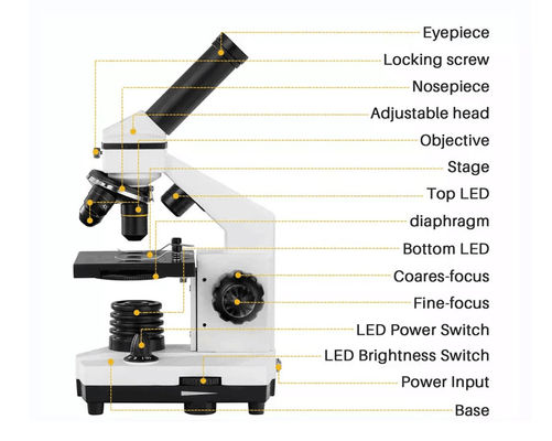 Monoküler Drawtube Öğrenci Biyolojik Mikroskop 640X ODM