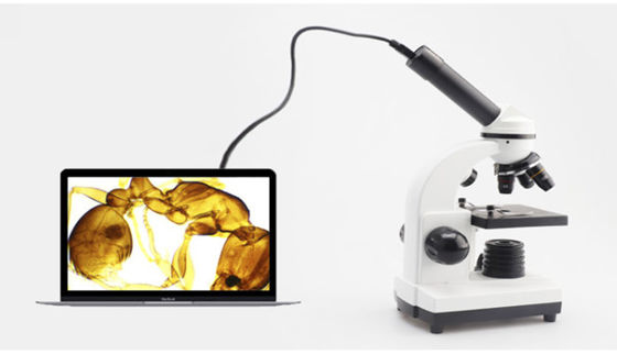 Monoküler Drawtube Öğrenci Biyolojik Mikroskop 640X ODM