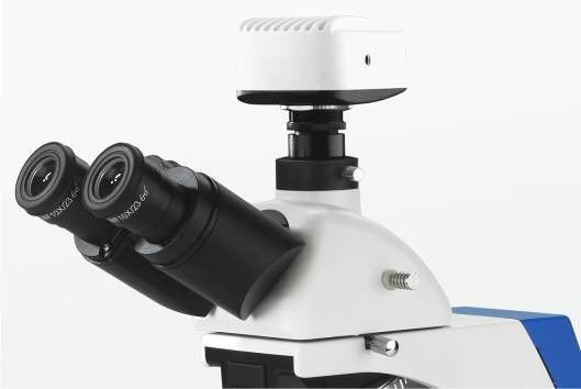Entegre Karanlık Alan Polarize Laboratuvar Biyolojik Mikroskop 4 Pozisyon