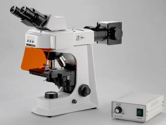Mekanik Aşamalı Beyaz Trinoküler Laboratuvar Biyolojik Mikroskop