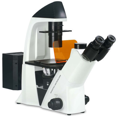 Hücre Gözlem ve Yetiştirme için 40X-400X Ters Optik Mikroskop WF10X 22mm