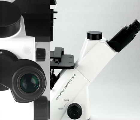 Hücre Gözlem ve Yetiştirme için 40X-400X Ters Optik Mikroskop WF10X 22mm