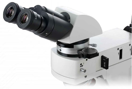 PL10X22mm İletim Işık Mikroskobu 20x 50x Dijital Polarize Mikroskop